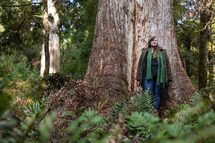 Wellbeing Experience in takayna/The ancient Tarkine Rainforest